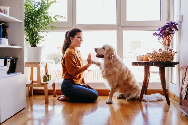 Pet-Friendly Apartment in Gurgaon